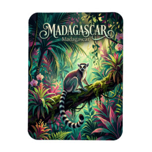 Regenwälder Madagaskars Madagaskar Magnet
