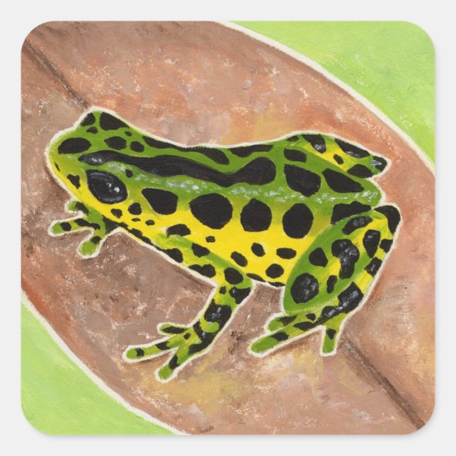 Regenwaldfrosch Quadratischer Aufkleber (Vorderseite)