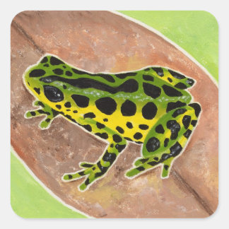 Regenwaldfrosch Quadratischer Aufkleber