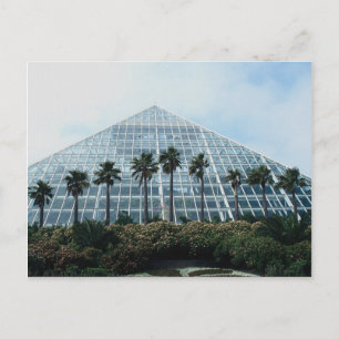 Regenwaldpyramide, Südtexas, USA Postkarte