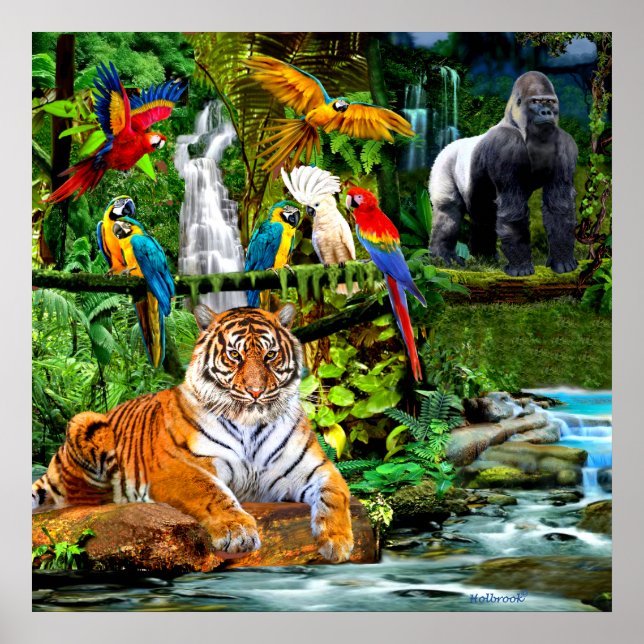 REGENWALDWILDLIFE POSTER (Vorne)
