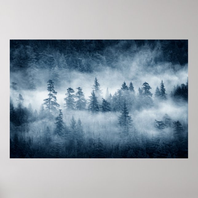 Regenwaldwolken im Pazifik im Nordwesten Poster (Vorne)