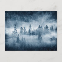 Regenwaldwolken im Pazifik im Nordwesten
