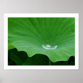 Regenwasser auf einem Lotus Leaf: Japan Poster