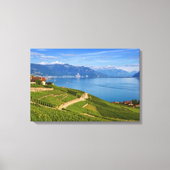 Region Lavaux, Waadt, Schweiz Leinwanddruck (Vorderseite)