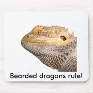 "Règle barbue de dragons !" tapis de souris