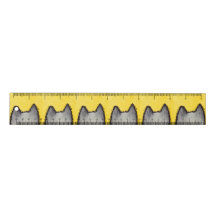 Règle de jaune de minou d'art de bruit