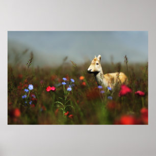 Reh auf einer Wiese Druck Poster
