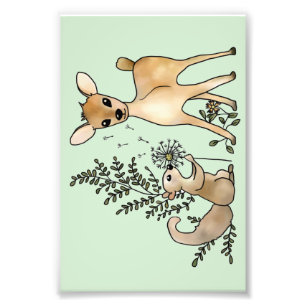 Reh und Eichhörnchen Fotodruck