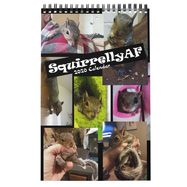 Rehab| Calendrier des murs SquirrellyAF 2020 (Protection)