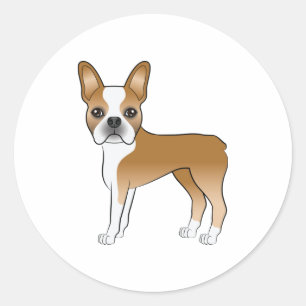Rehbraune und weiße Boston Terrier-Hund-Illustrati Runder Aufkleber