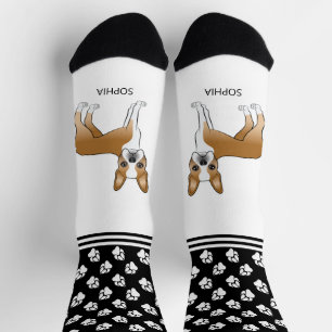 Rehbrauner und weißer Boston Terrier mit Namen und Socken