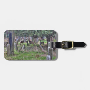 Rehe Am Zentralfriedhof Gepäckanhänger