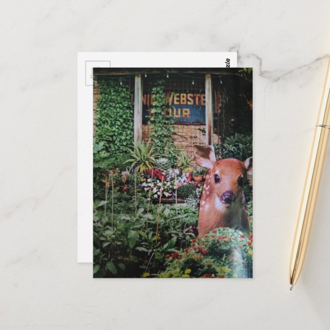 Rehkitz im Garten Collage Postkarte (Vorderseite/Rückseite Beispiel)