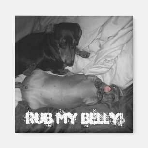 Reiben Sie meinen Bauch! Magnet