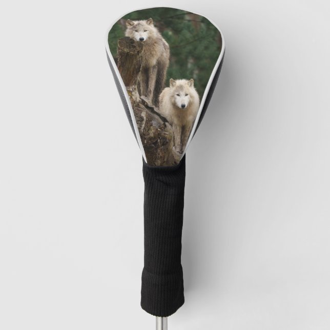 Reich der weißen Wölfe Golf Headcover (Vorderseite)