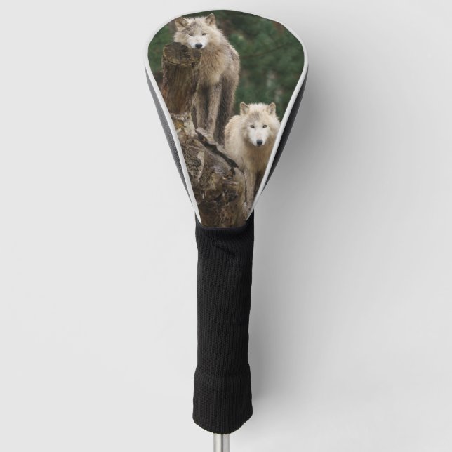 Reich der Weißen Wölfe Golf Headcover (Vorderseite)