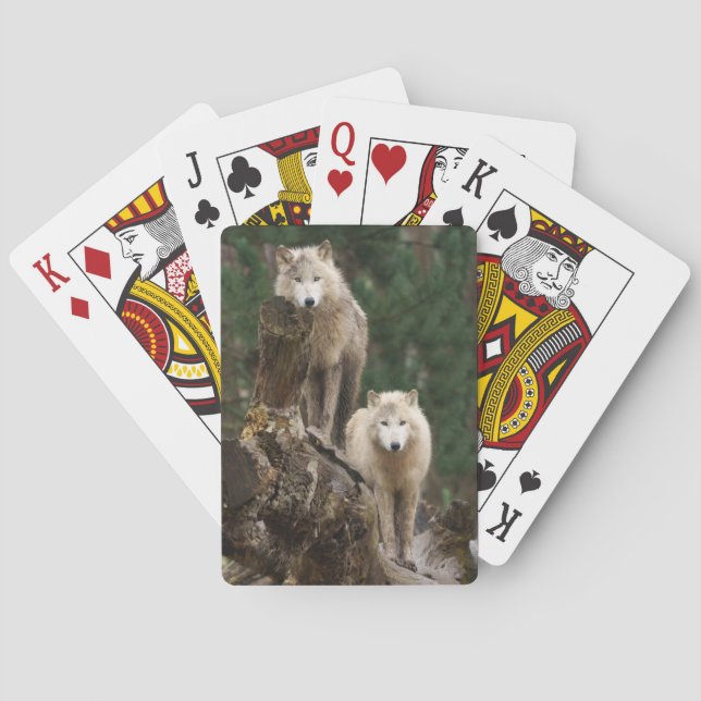 Reich der weißen Wölfe Spielkarten (Rückseite)