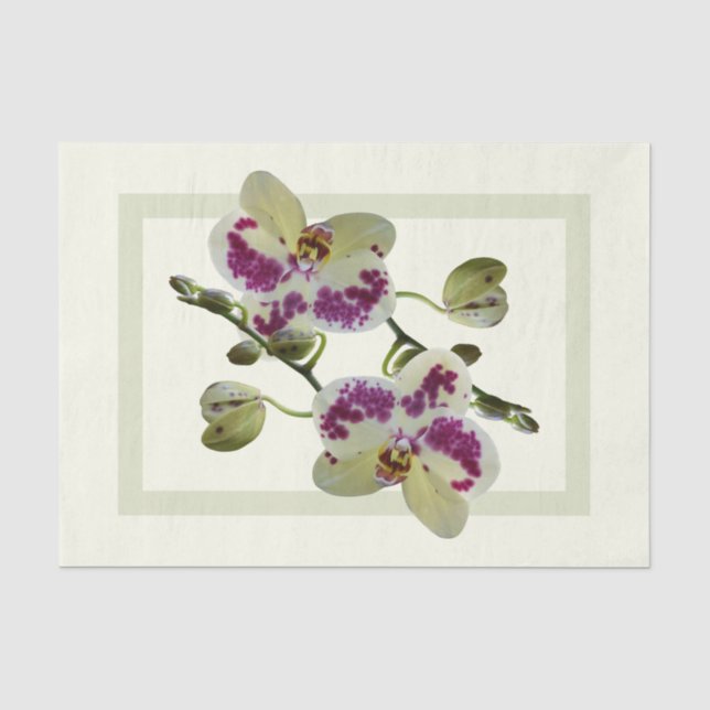 Reiche blassgelbe Orchideen Papiertücher Seidenpapier (Vorderseite)