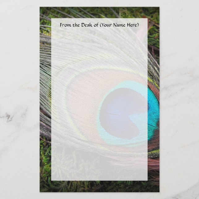 Reiche, elegante Pfau-Feder-Fotografie Briefpapier (Vorderseite)