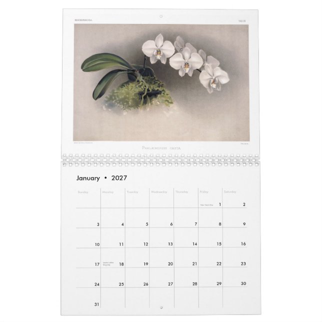Reichenbachia Orchideen 2015 Kalender (Jan 2027)