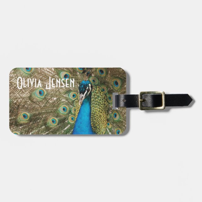 Reiches FarbFoto des Pfau-Vogels Gepäckanhänger (Vorderseite horizontal)