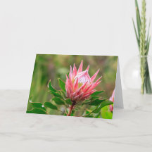 Reichweite für den Himmel