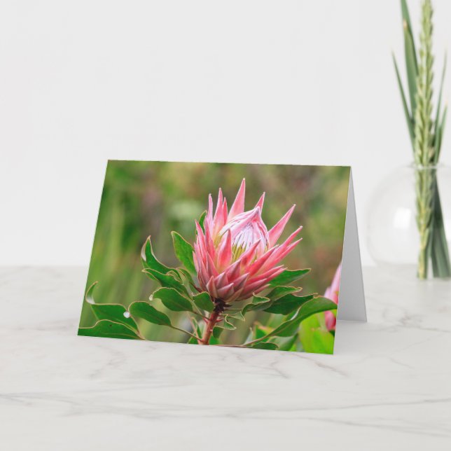 Reichweite für den Himmel Karte (Vorderseite)