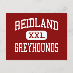 Reidland - Windhunde - Mittel - Paducah Kentucky Postkarte