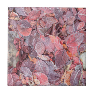 Reif auf abgefallenen Blättern, Herbstfarben, Mill Fliese