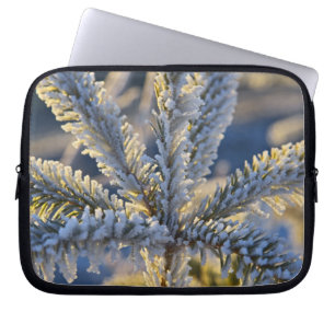 Reif auf immergrünem Baum, Homer, Alaska Laptopschutzhülle