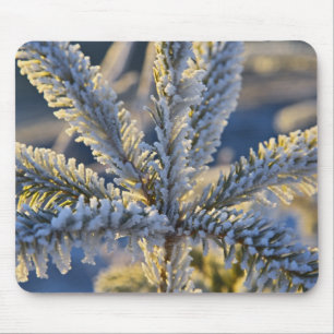 Reif auf immergrünem Baum, Homer, Alaska Mousepad