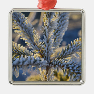 Reif auf immergrünem Baum, Homer, Alaska Silbernes Ornament