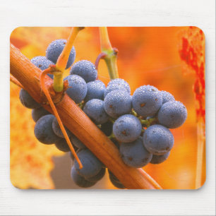 Reif im Weinberg Mousepad