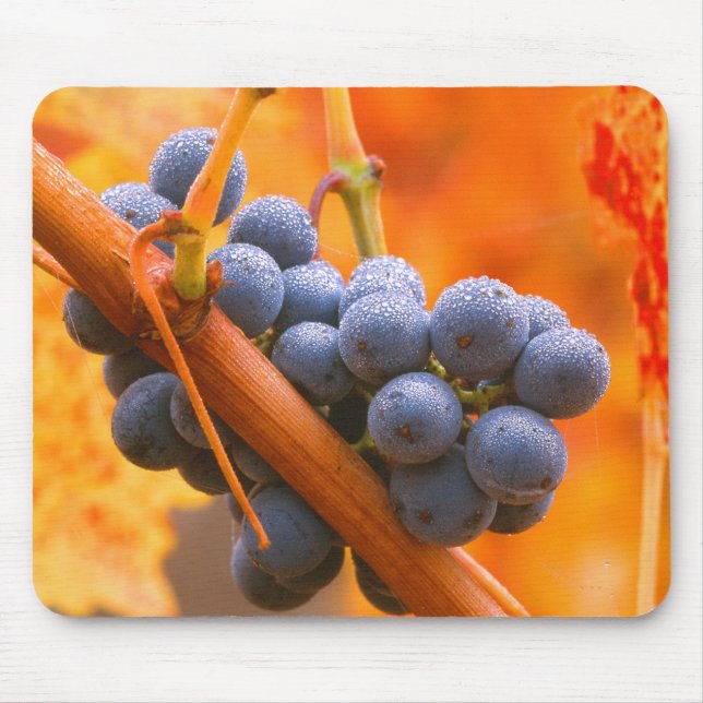 Reif im Weinberg Mousepad (Vorne)
