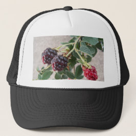 Reife BlackBerry auf einem Truckerkappe