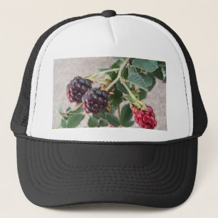 Reife BlackBerry auf einem Truckerkappe