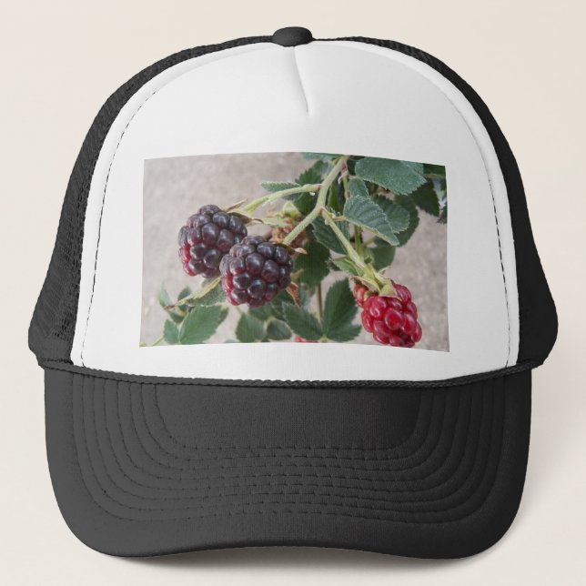 Reife BlackBerry auf einem Truckerkappe (Vorderseite)