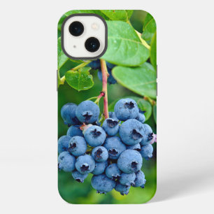 Reife Blaubeeren am Busch iPhone Hülle