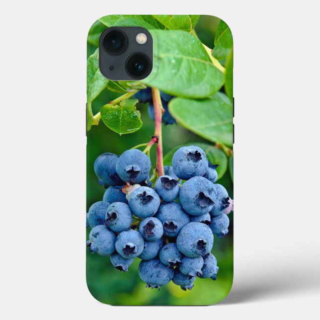 Reife Blaubeeren für Bush Case-Mate iPhone Hülle (Rückseite)