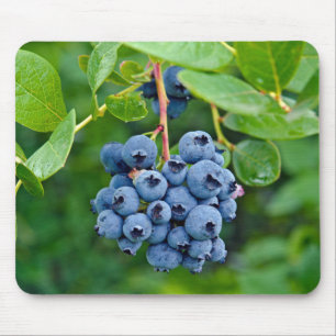 Reife Blueberry Bush Mouse Pad Mousepad