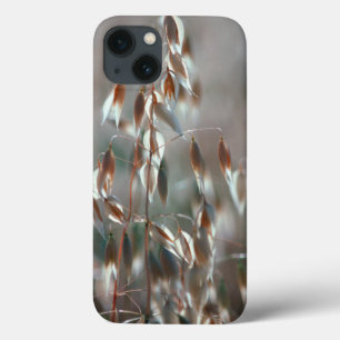 Reife Haferkörner (Avena Sativa) Nahaufnahme. Cere iPhone 13 Hülle