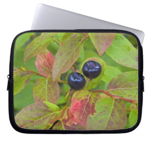 Reife Heidelbeeren im Flathead National Laptopschutzhülle