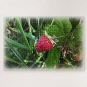 Reife Himbeere