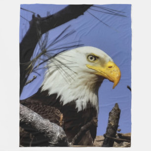 Reife männliche Adler Naher Kopf Shot Fleecedecke