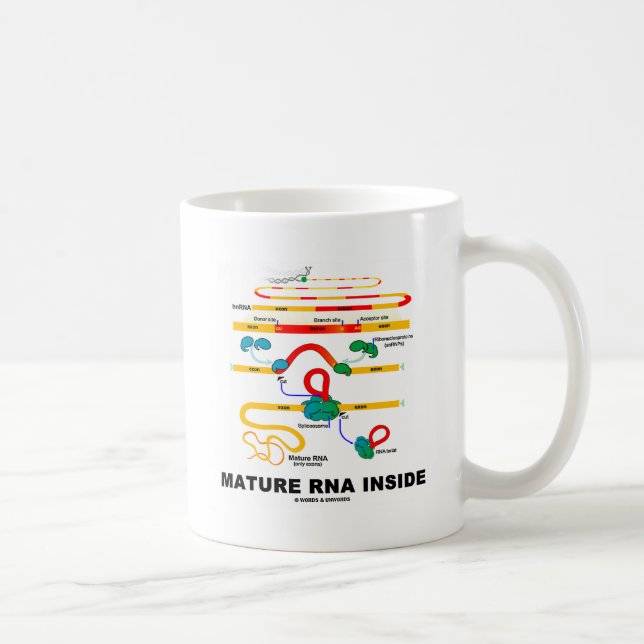 Reife RNA Inside Kaffeetasse (Rechts)