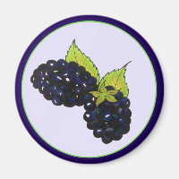 Reife Sommer BlackBerry BlackBerry Berry Berries