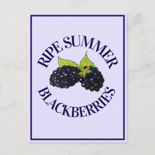 Reife Sommer BlackBerry BlackBerry Berry Berries Postkarte