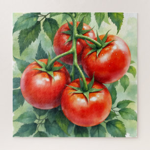 Reife Tomatenranke Aquarell Frisch