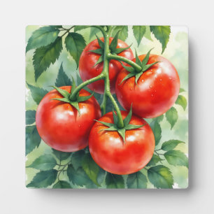 Reife Tomatenranke Aquarell Frisch Fotoplatte